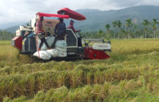 Perdana Turun ke Sawah, Mesin Baru Panen Padi Petani Kuta Jeumpa Abdya
