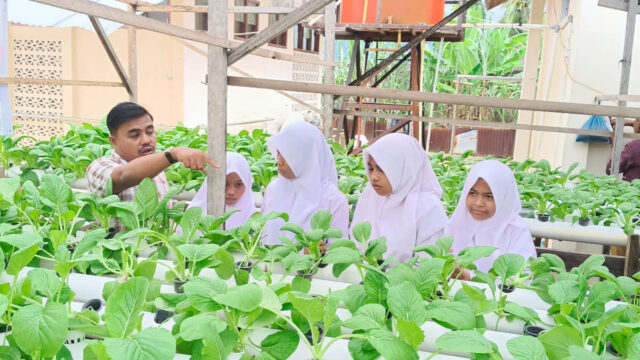 SLB Abdya Latih Siswa Budidaya Lele dan Tanaman Hidroponik