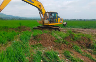 Pasca Banjir, Pemkab Abdya Bersihkan Timbunan Material di Sawah Warga