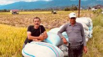 Panen di Abdya Melejit 9-12 Ton Per Hektare, Harga Gabah Ikut Tinggi Rp7.000 per Kg