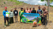 BUMG Lamtamot Sulap Lahan 3 Hektar Jadi Kebun Jagung Hibrida, Serap Tenaga Kerja Lokal