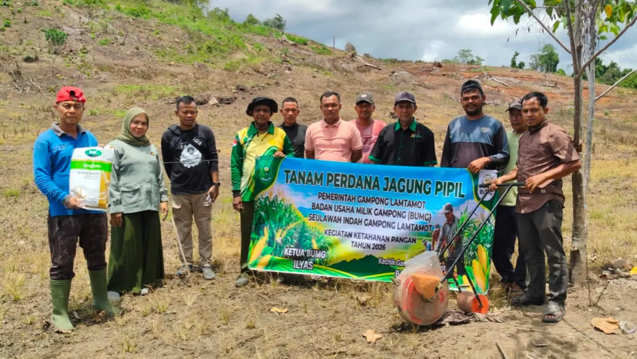 BUMG Lamtamot Sulap Lahan 3 Hektar Jadi Kebun Jagung Hibrida, Serap Tenaga Kerja Lokal